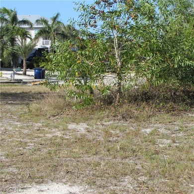 CAPTAIN'S COVE homesite in Bokeelia. Boating subdivision without - photo 9