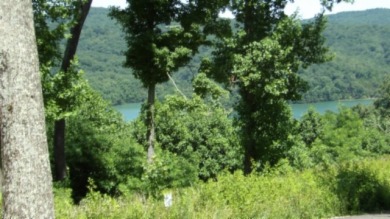 0.93 AC YEAR AROUND DALE HOLLOW LAKE VIEW - photo 8