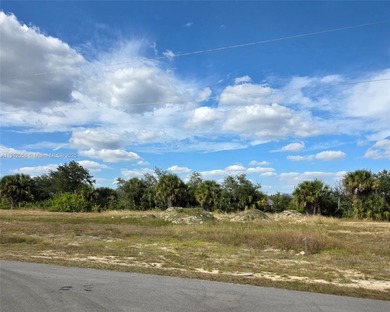 (private lake, pond, coastal) Lot For Sale in Other City - In The State Of Florida Florida