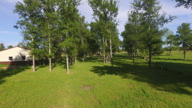 Waterfront land in private gated community - photo 7