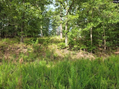 REDUCED!!  Wooded Waterfront lot, with dock and prepped home site - photo 3