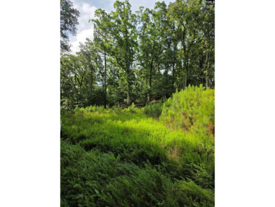 REDUCED!!  Wooded Waterfront lot, with dock and prepped home site - photo 4