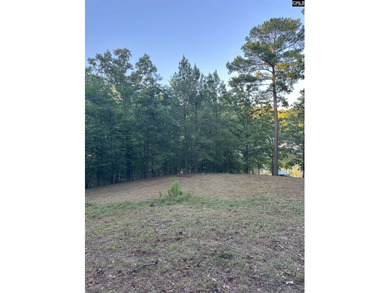 REDUCED!!  Wooded Waterfront lot, with dock and prepped home site - photo 6