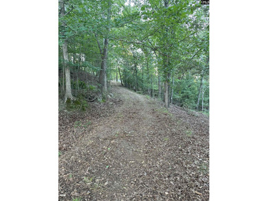 REDUCED!!  Wooded Waterfront lot, with dock and prepped home site - photo 7