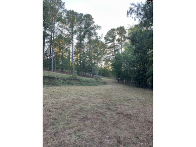 REDUCED!!  Wooded Waterfront lot, with dock and prepped home site - photo 9