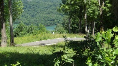 0.93 AC YEAR AROUND DALE HOLLOW LAKE VIEW - photo 3