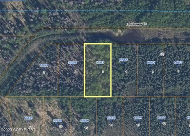 Sustaina River Lot For Sale in Willow Alaska