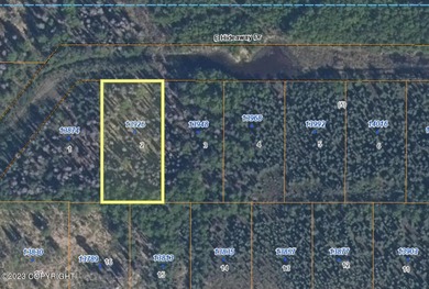 Sustaina River Lot For Sale in Willow Alaska