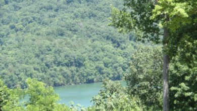 0.93 AC YEAR AROUND DALE HOLLOW LAKE VIEW - photo 6