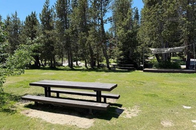 A lovely wooded lot ready for your Serene Lakes dream home! Home - photo 12