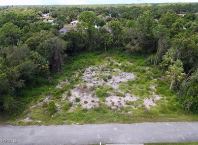 Lehigh Acres Area Lot For Sale in Lehigh Acres Florida