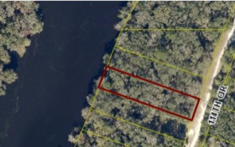 Lake Lot Off Market in Dowling Park, Florida