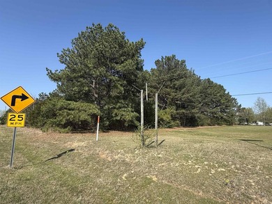 Prime highway frontage. No zoning. Unlimited potential - photo 2