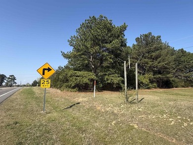 Prime highway frontage. No zoning. Unlimited potential - photo 3