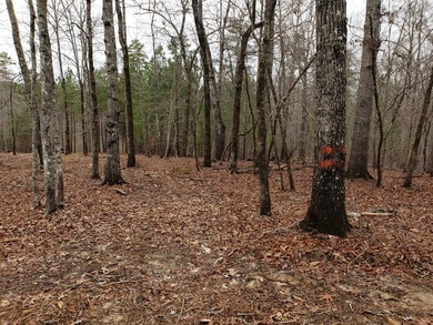 Owner will consider Financing Waterfront lot in cove - qualifies - photo 3