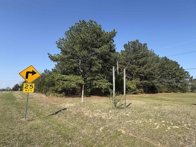 Prime highway frontage. No zoning. Unlimited potential - photo 4