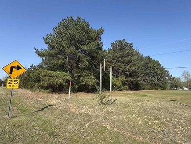 Prime highway frontage. No zoning. Unlimited potential - photo 5