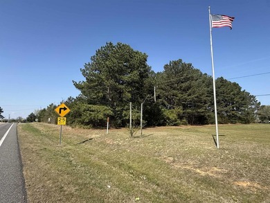Prime highway frontage. No zoning. Unlimited potential - photo 6