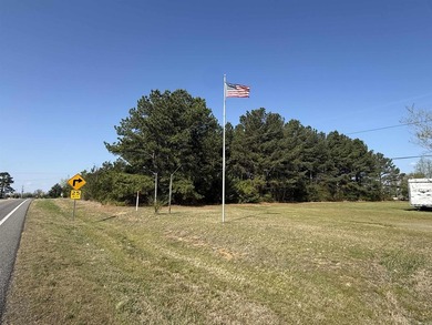 Prime highway frontage. No zoning. Unlimited potential - photo 7