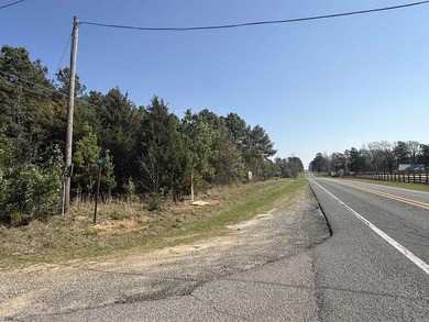 Prime highway frontage. No zoning. Unlimited potential - photo 8