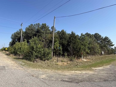Prime highway frontage. No zoning. Unlimited potential - photo 10