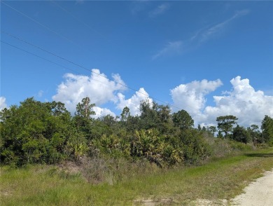 Lake Lot For Sale in Indian Lake Estates, Florida