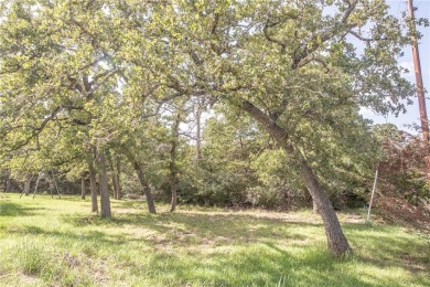 Lake Lot For Sale in Somerville, Texas