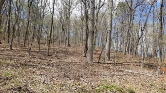 Watts Bar Lake Lot Sale Pending in Spring City Tennessee