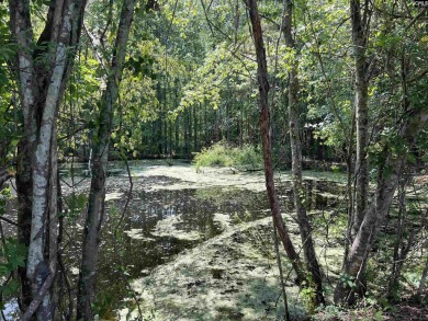 Lake Acreage For Sale in West Columbia, South Carolina