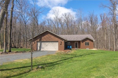 Lake Home For Sale in Georgetown Twp, Wisconsin