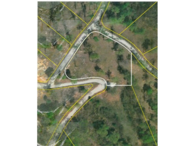 0.93 AC YEAR AROUND DALE HOLLOW LAKE VIEW - photo 10