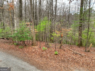 Lake Dakwa Lot For Sale in Ellijay Georgia