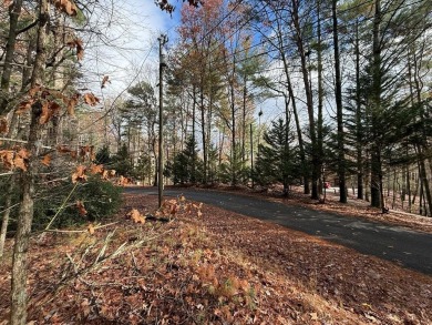 Lake Lot For Sale in Ellijay, Georgia