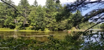 Weiden Lake Acreage For Sale in Narrowsburg New York