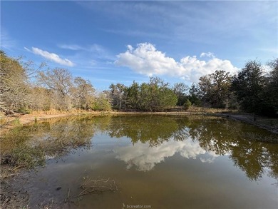 (private lake, pond, creek) Acreage For Sale in Somerville Texas