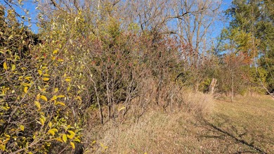 Puckaway Lake Lot For Sale in Markesan Wisconsin