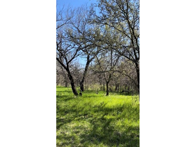 Beautiful wooded lot located in Runaway Bay, no HOA, minutes