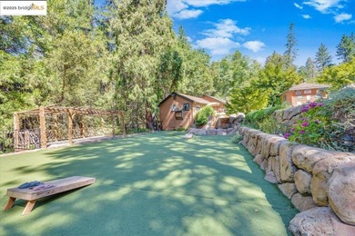 Lazy Z Resort - 31 Acres of Mountain Paradise Just minutes from - photo 11