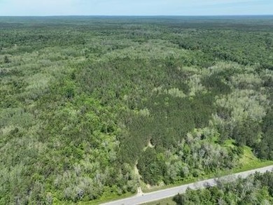 (private lake, pond, creek) Acreage For Sale in Bitely Michigan