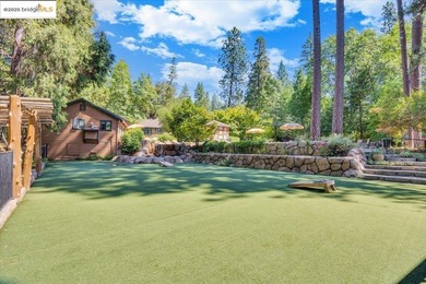 Lazy Z Resort - 31 Acres of Mountain Paradise Just minutes from - photo 12