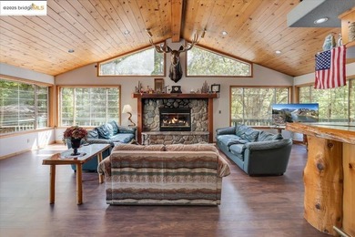 Lazy Z Resort - 31 Acres of Mountain Paradise Just minutes from - photo 15