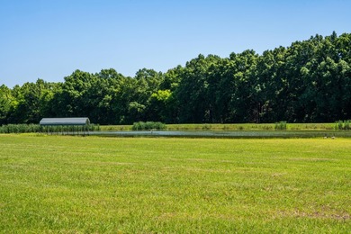 Realtor is related to seller. Escape to your own private - photo 16
