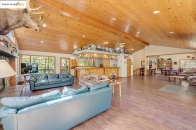 Lazy Z Resort - 31 Acres of Mountain Paradise Just minutes from - photo 17