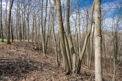 Come see this pristine, well maintained, like new home, in a - photo 19