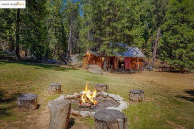Lazy Z Resort - 31 Acres of Mountain Paradise Just minutes from - photo 29