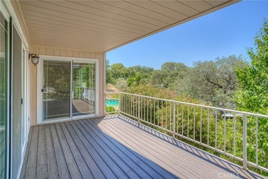 9 Chaparral - photo 10
