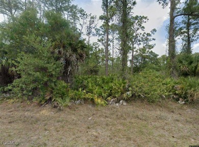 Lehigh Acres Area Lot For Sale in Lehigh Acres Florida