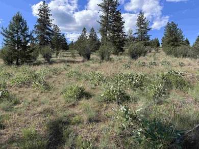 Lake Acreage For Sale in Deer Park, Washington