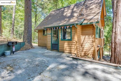 Lazy Z Resort - 31 Acres of Mountain Paradise Just minutes from - photo 32