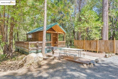Lazy Z Resort - 31 Acres of Mountain Paradise Just minutes from - photo 34